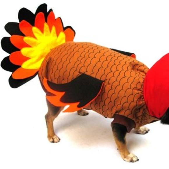 Turkey Puppe Love Halloween Dog Pet Costume - Picture 3 of 4